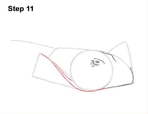 How to Draw a southern common Stingray swimming 11