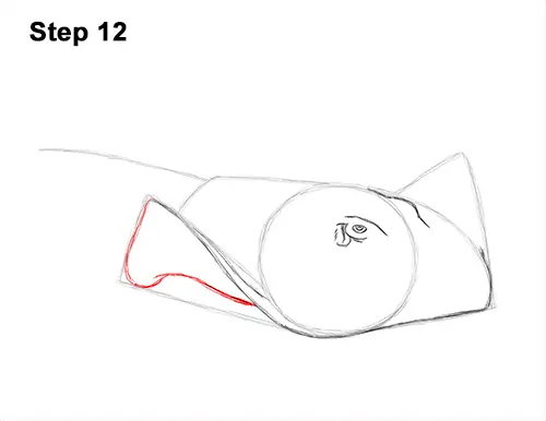 How to Draw a southern common Stingray swimming 12