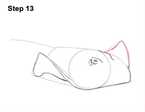 How to Draw a southern common Stingray swimming 13