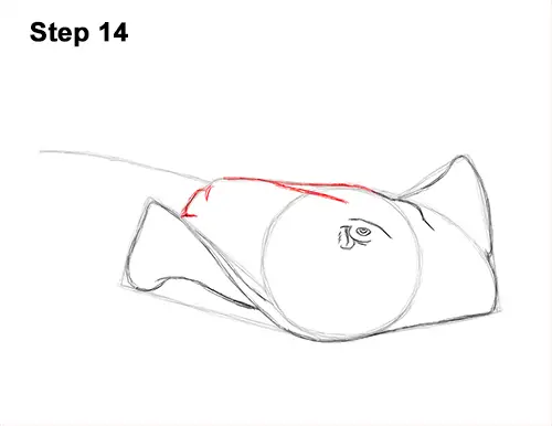 How to Draw a southern common Stingray swimming 14