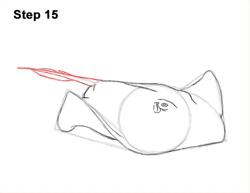 How to Draw a southern common Stingray swimming 15