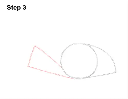 How to Draw a southern common Stingray swimming 3