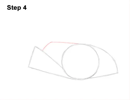 How to Draw a southern common Stingray swimming 4