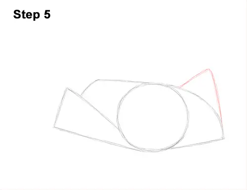 How to Draw a southern common Stingray swimming 5