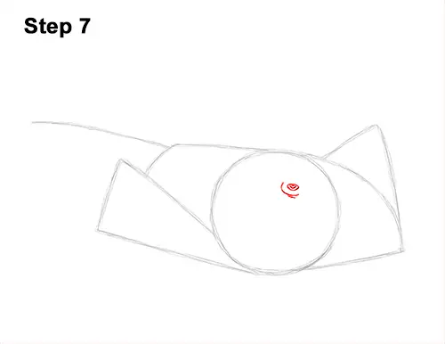 How to Draw a southern common Stingray swimming 7