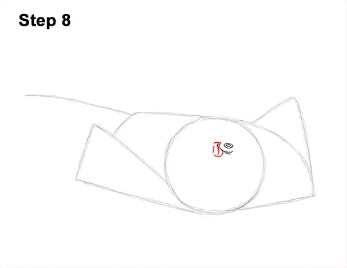 How to Draw a southern common Stingray swimming 8