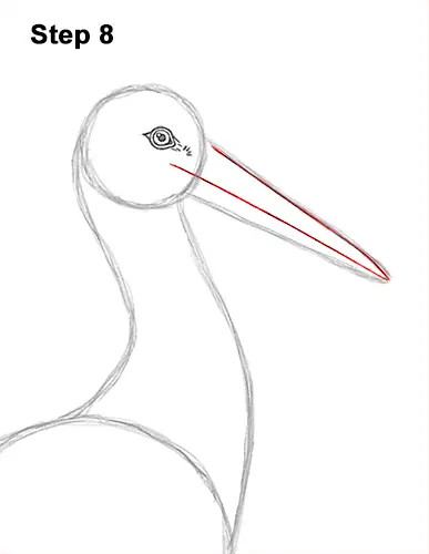 How to Draw a White Stork Bird Side View 8