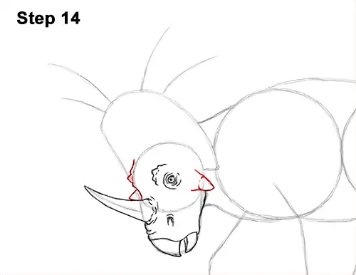 How to Draw Styracosaurus Dinosaur Horns Charging 14