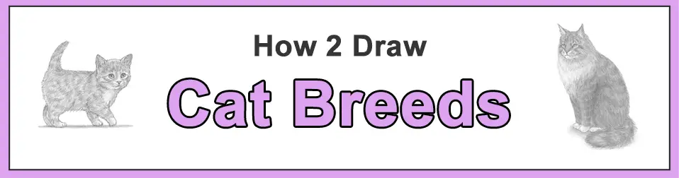 How to Draw Cat Breeds Popular Categories