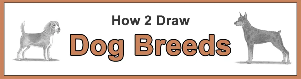 How to Draw Dog Breeds Popular Categories