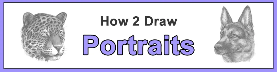 How to Draw Animal Portraits Head Detail Faces Popular Categories