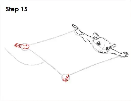 Featured image of post How To Draw A Sugar Glider Ajpw Every drawing is proof of how technique and imagination come together to create superb art