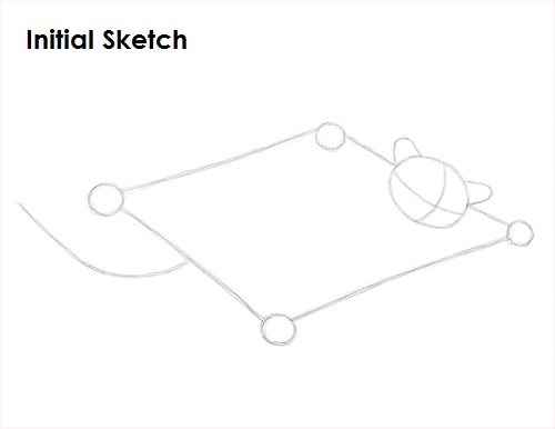Draw Sugar Glider Sketch
