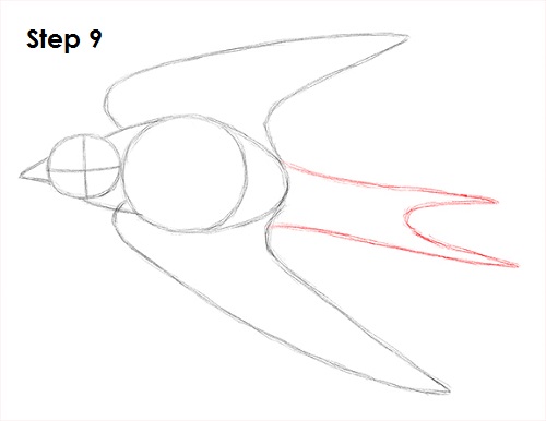 Draw Swallow Bird 9