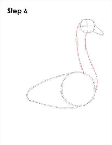Draw Swan 6