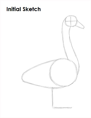 Simple Vector Drawing of a Cute Swan for Design Work, for Children`s  Coloring, Logo, Template. Stock Vector - Illustration of swan, kids:  198633188