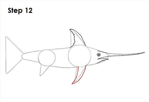 Draw Swordfish 12