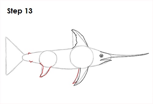 Draw Swordfish 13