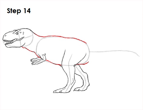 Draw Tyrannosaurus Rex 14