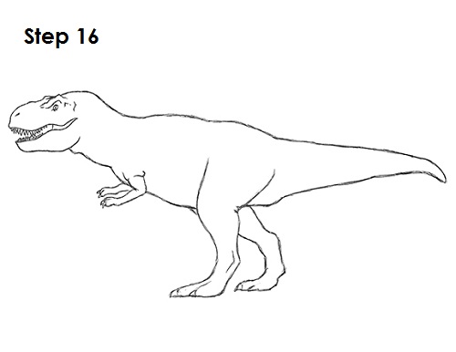 Draw Tyrannosaurus Rex 16
