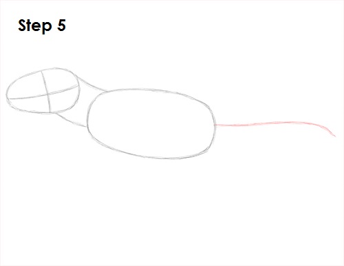 How to Draw a Tyrannosaurus Rex (T. rex) VIDEO & Step-by-Step Picture