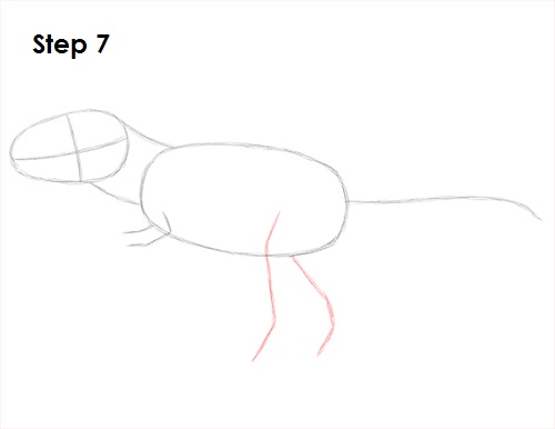 How to Draw a Tyrannosaurus Rex (T. rex) VIDEO & Step-by-Step Picture