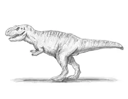 How to Draw Tyrannosaurus Rex
