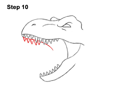 How to Draw a Tyrannosaurus rex Head Roaring 10