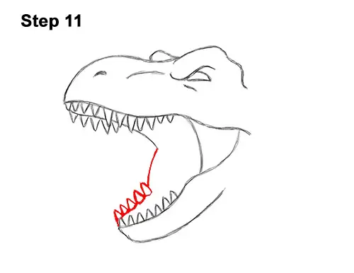 How to Draw a Tyrannosaurus rex Head Roaring 11