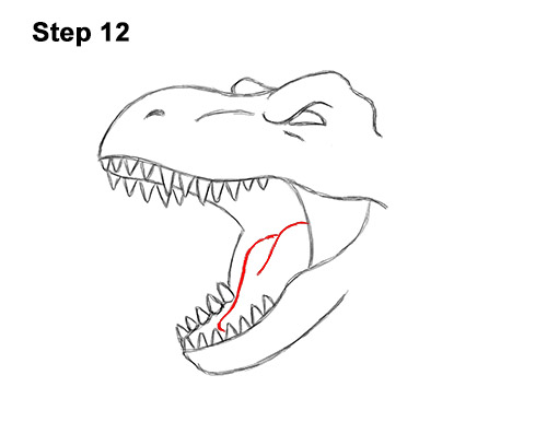 How to Draw a Tyrannosaurus rex Head Roaring 12