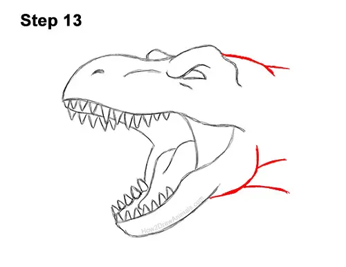 How to Draw a Tyrannosaurus rex Head Roaring 13