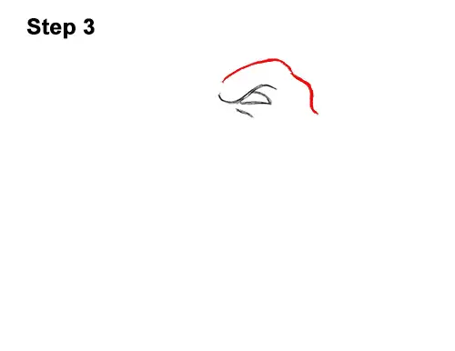 How to Draw a Tyrannosaurus rex Head Roaring 3