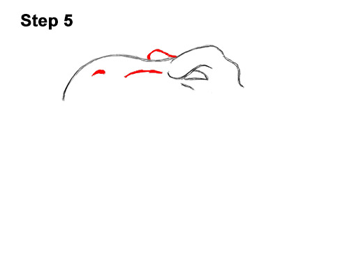 How to Draw a Tyrannosaurus rex Head Roaring 5