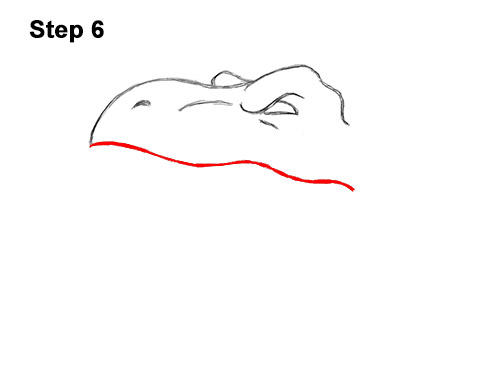 How to Draw a Tyrannosaurus rex Head Roaring 6