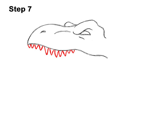 How to Draw a Tyrannosaurus rex Head Roaring 7