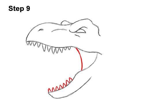 How to Draw a Tyrannosaurus rex Head Roaring 9