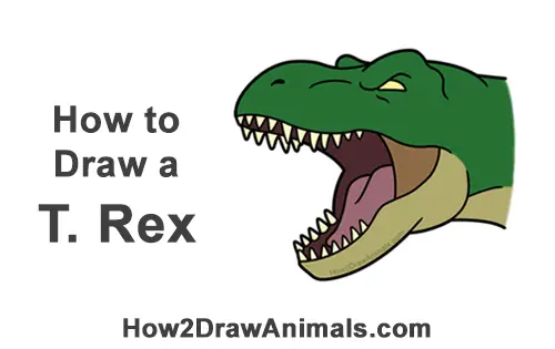 Learn how to Draw a Jurassic Park Trex Head for Beginners Tutorial Part 1   YouTube