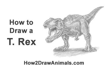 HOW TO DRAW A T-REX DINOSAUR 