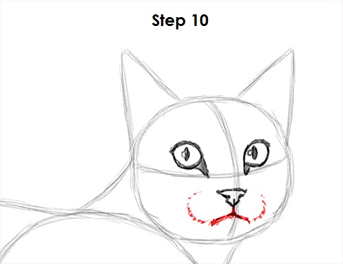 Draw Tabby Cat 10