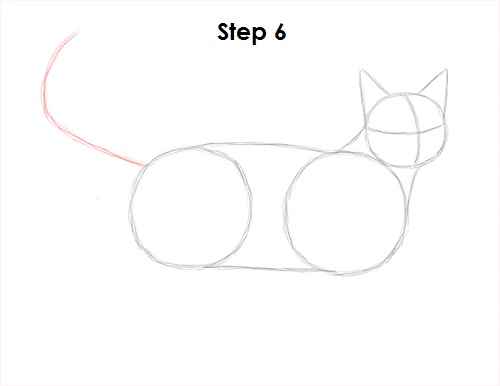 Draw Tabby Cat 6