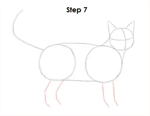 Draw Tabby Cat 7