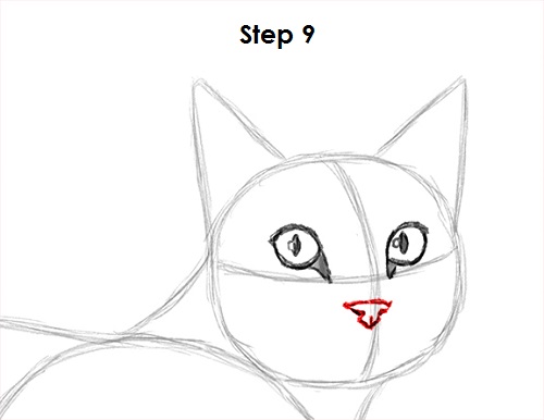 Draw Tabby Cat 9