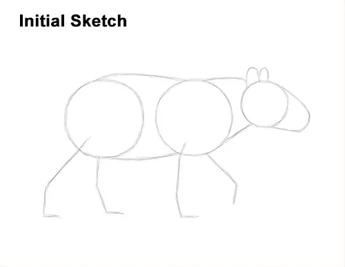 How to Draw a Tapir Malayan Asian Indian Side Guides Lines