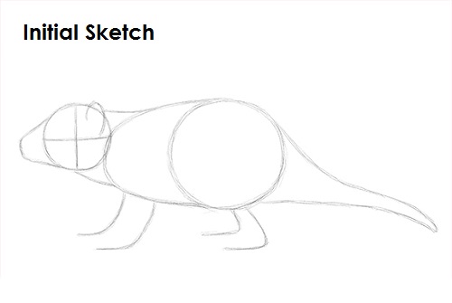 Draw Tasmanian Devil Sketch