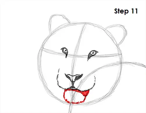 Draw Tiger 11
