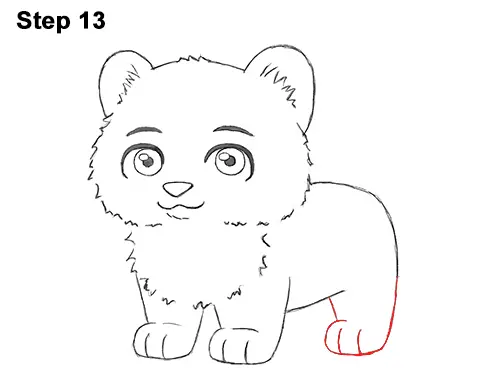 Draw Cartoon Mini Little Tiger Cub 13