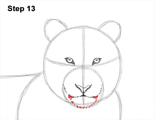 How to Draw a Tiger Laying Lying Down 13