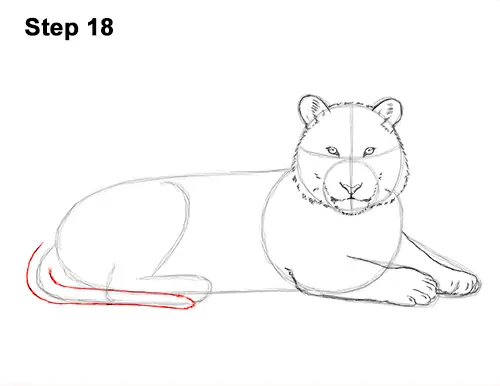 How to Draw a Tiger Laying Lying Down 18