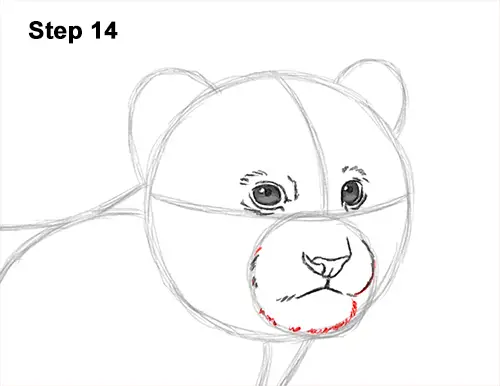 How to Draw a Cute Baby Tiger Cub 14