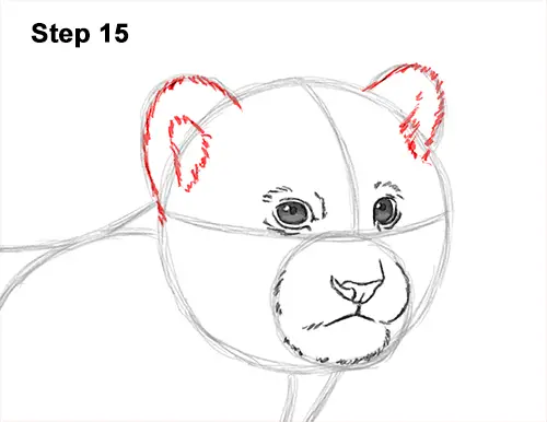 How to Draw a Cute Baby Tiger Cub 15